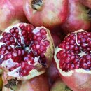 대목경로당 이미지