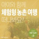 함양물레방아떡마을 | 아이와 함께 떠나는 체험형 농촌여행!