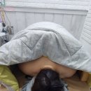 리피부관리실(알포유에너지테라피)