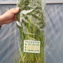 김기현농장 이미지