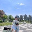 [양주옥정호수공원][양주잔디광장]양주노래하는분수대 아이와 함께 찐 후기!!