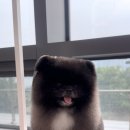 쓰리빈 이미지