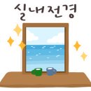 라이언펫 수원광교동물병원 이미지