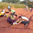 복내면사무소 이미지