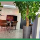 송천공인중개사사무소 이미지