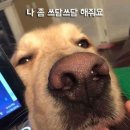치토스