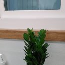 행정사 김현득 이미지