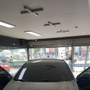 피피엠틴팅