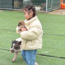 칠곡동물체험카페 | 경북 칠곡동물체험카페 대구근교 아이랑 가볼만한곳 솔직후기