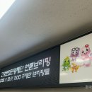 2025경남고성공룡세계엑스포 이미지