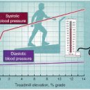 (스포츠 의학) 운동 유발성 고혈압 이미지