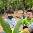 순성어린이집 이미지