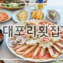 속초자연횟집 | 속초 애견동반 식당 강아지와 편하게 대포항 맛집 대포리횟집