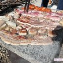 돌위에생삼겹살