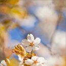 학운공원 이미지