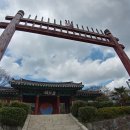 여황로 | 동백꽃 피어난 충무공 이순신 사당 충렬사. 통영 여행.