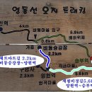 11월2일 백두대간협곡 체르마트/세평비경길트래킹, 열차관광 이미지