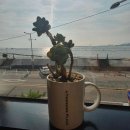 대영빌딩 3층 화장실 이미지