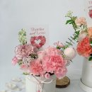 일산랩플레르