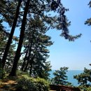 동해화원 | [보령 가볼만한 곳] 죽도 상하원 주말 솔직 후기 :풍경은 만점 소요시간 주차& 관람객 매너 글쎄??(주차...