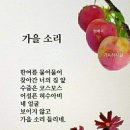 튤립 이야기 이미지