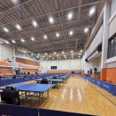 수레울아트홀1 | 제1회 연천쌀연진배 지역오픈 탁구대회