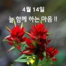 화요일 Daum카페