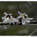 미소여인숙 이미지