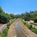 가운 중앙공원 이미지