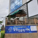 클잎주