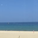 트리고삼척해변점 이미지