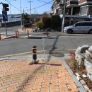 진해대로 이미지