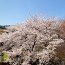 영락 태양광발전소 이미지