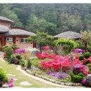 담양송죽헌 이미지