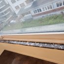 우솔약품 이미지