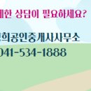 대지공인중개사사무소 이미지