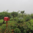 제일송어산장 이미지