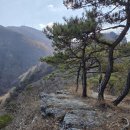 대혜골백숙 | 구미 금오산 현월봉(金烏山 懸月峯 976.6) 2025.11.18.