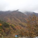별빛산방 네이버블로그