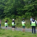 매송초등학교 앞 탄천변 이미지