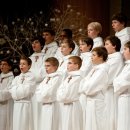 파리나무십자가 소년합창단 내한공연 이미지