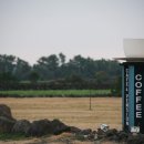 다시 봄 이미지