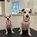 싹독싹독 이미지