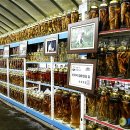 김진규농장 이미지