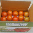 2017년 &#34;완숙토마토&#34;,&#34;토마토즙&#34;특가판매합니다 이미지