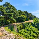 고려의 시간을 걷는 ‘죽주산성길’, 한 권의 역사책, 경기옛길 영남길 제8길 이미지