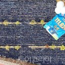 영동군 생활이동지원센터 이미지