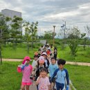 삼봉태권도장 이미지