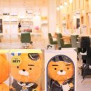 헤세드헤어 이미지