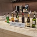뽀뽑뽀 | 아랍에미레이트 A380 비즈니스석 이용기(기내인생사진스팟!!)